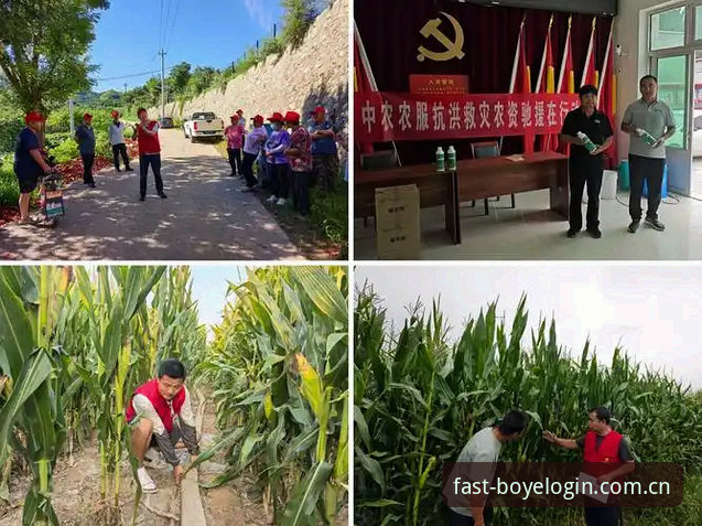 博业体育登录电脑装一下，44.8MB背后的下载抉择：v2.3.0深度评测